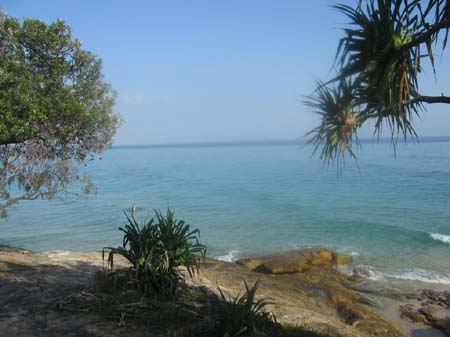 04b Adder rock morning glass