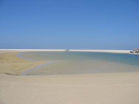 06b Jumpin pin heart shaped lagoon