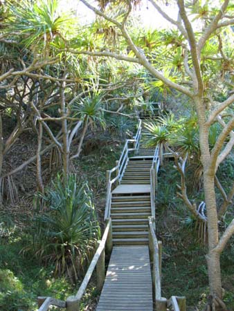 08b Gorge walk pandanus track