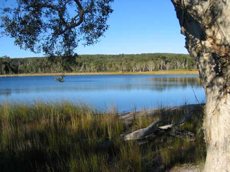 09a Freshwater perfection at  Brown lake