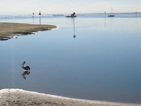 10e Morning bayside glory